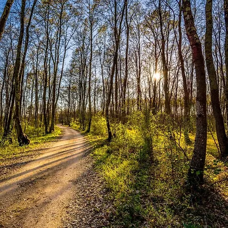 Casa Mario-charming Stone House With Jacuzzi